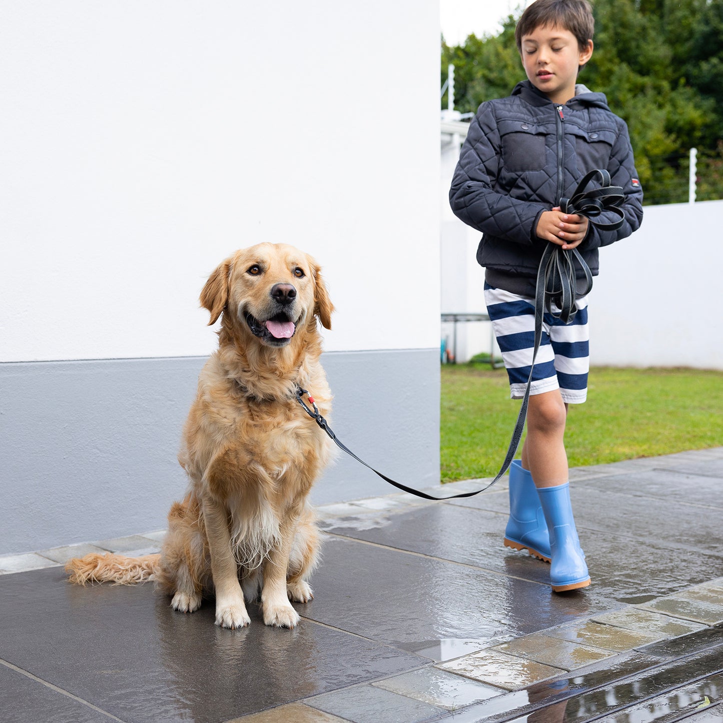 Rogz Amphibian Training Line