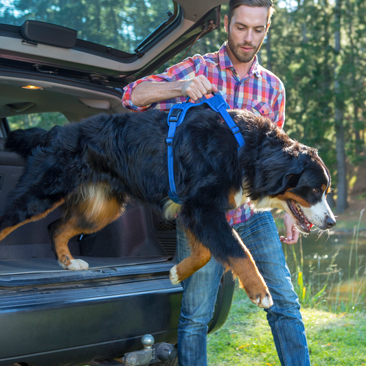 Rogz Utility Explore Harness