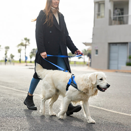 Rogz Utility Letzgo Personalised Harness