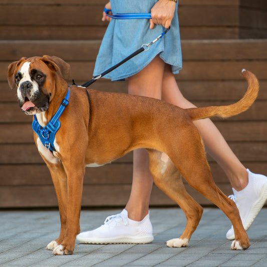 Rogz Utility Stop-Pull Harness