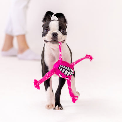 Rogz Flossy Grinz Dental Toy