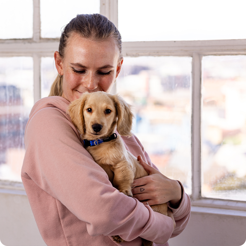 Utility - Classic Collar