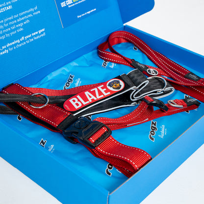 Personalised Bundle