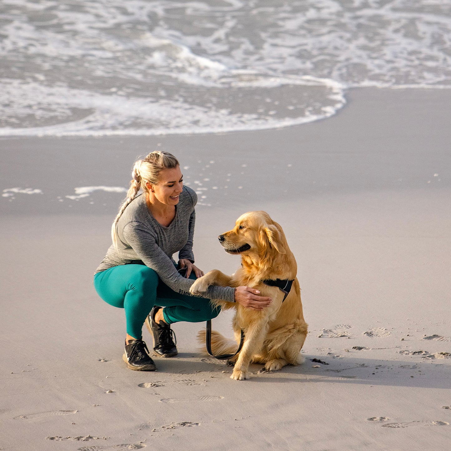 Rogz AirTech Classic Lead