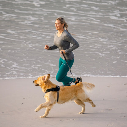 Rogz AirTech Classic Lead