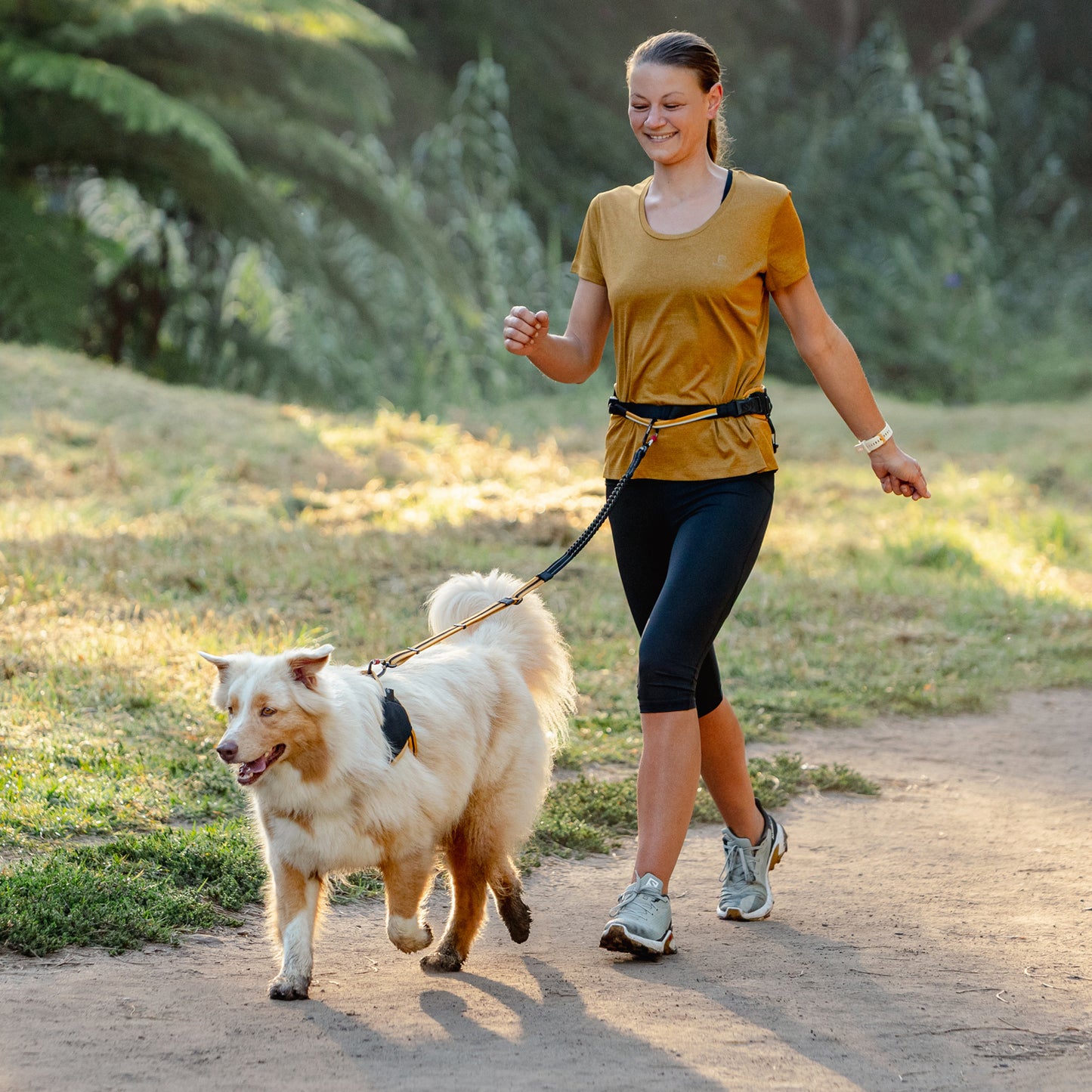 Rogz AirTech Sport Belt and Lead