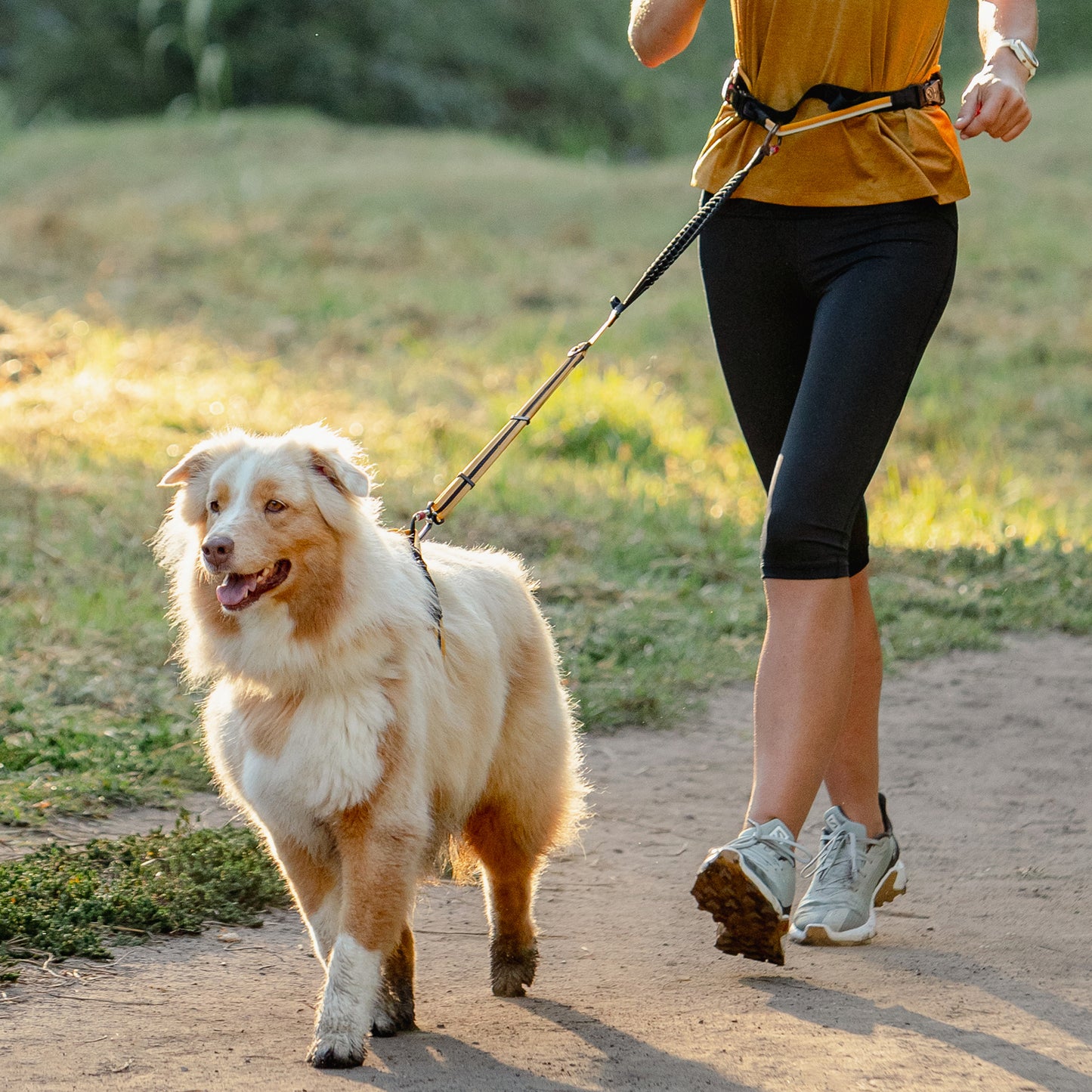 Rogz AirTech Sport Belt and Lead