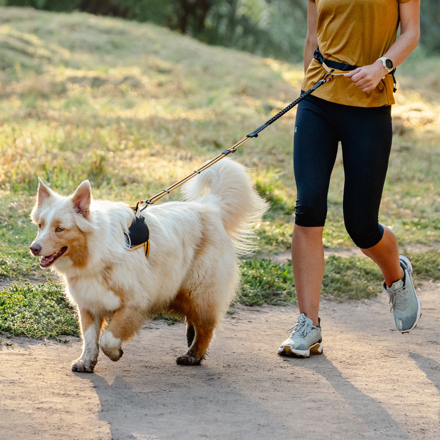 Rogz AirTech Sport Belt and Lead