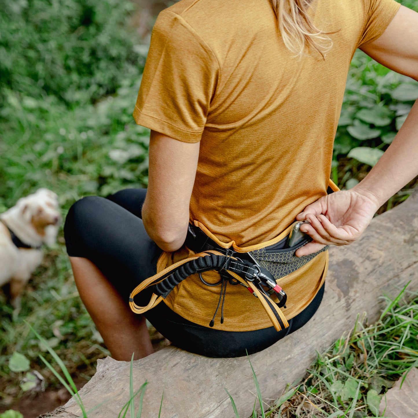 Rogz AirTech Sport Belt and Lead