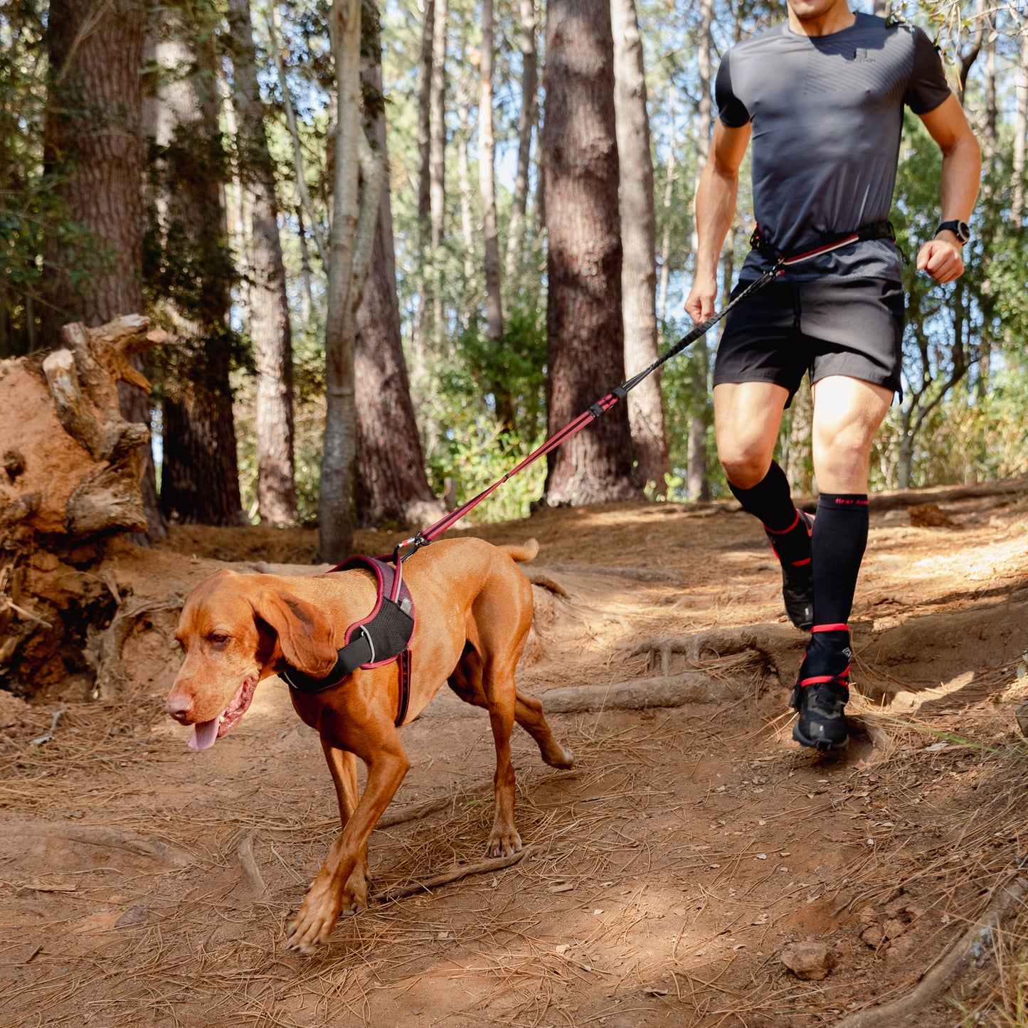 Rogz AirTech Sport Belt and Lead