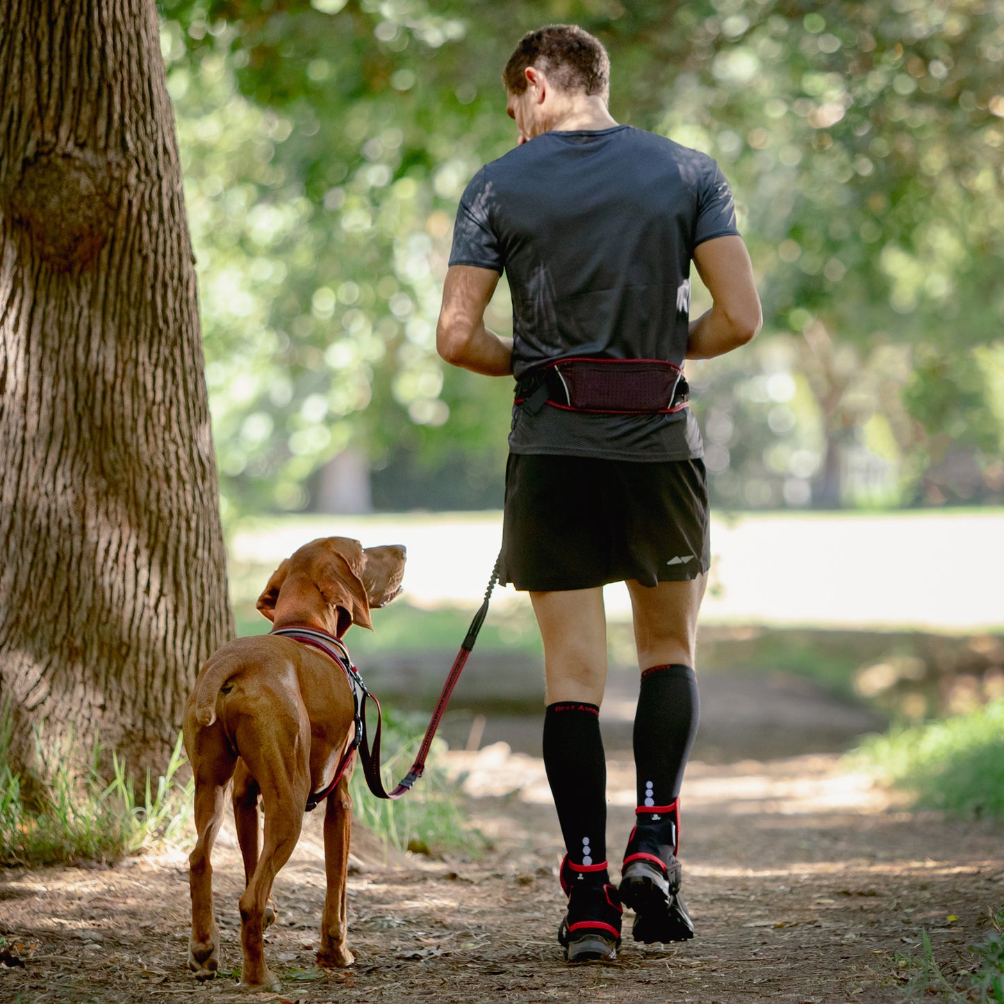 Rogz AirTech Sport Belt and Lead