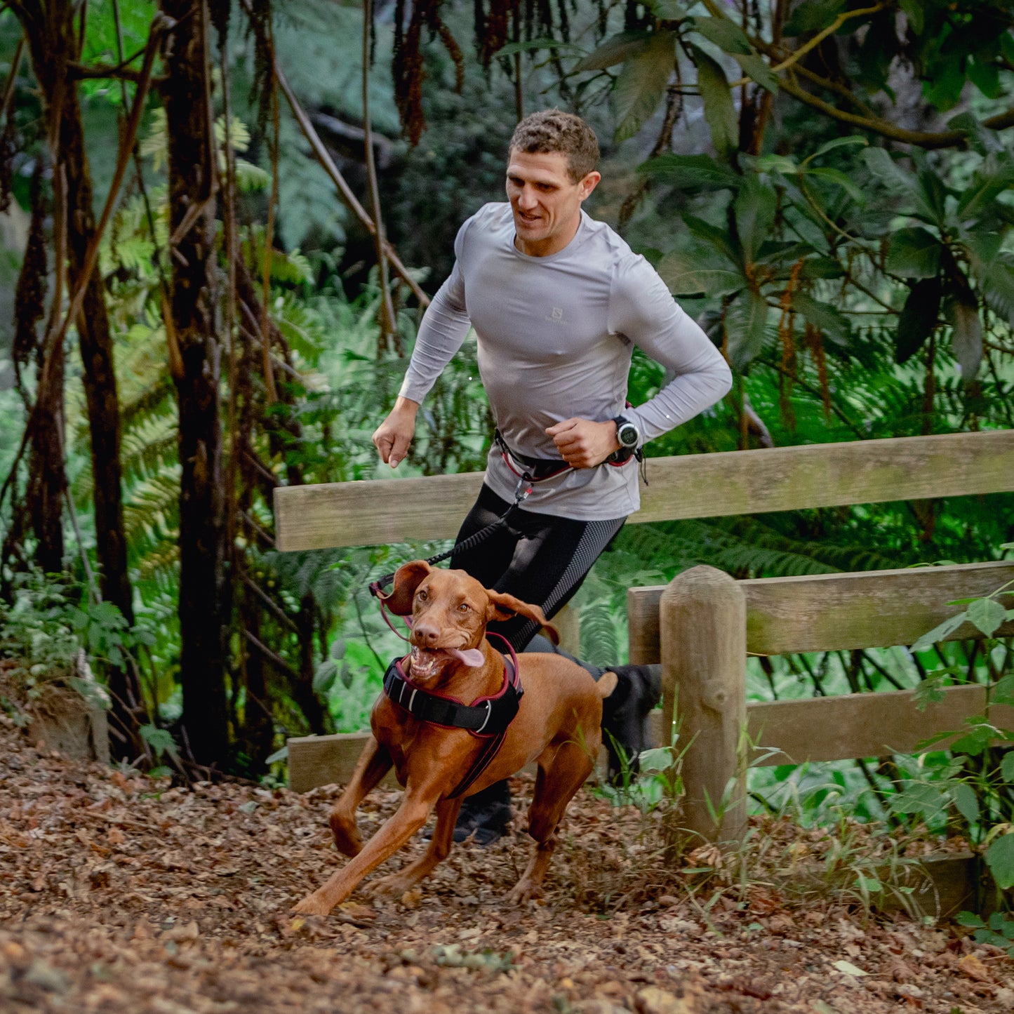 Rogz AirTech Sport Belt and Lead
