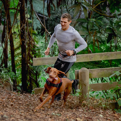 Rogz AirTech Sport Belt and Lead