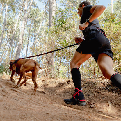 Rogz AirTech Sport Belt and Lead