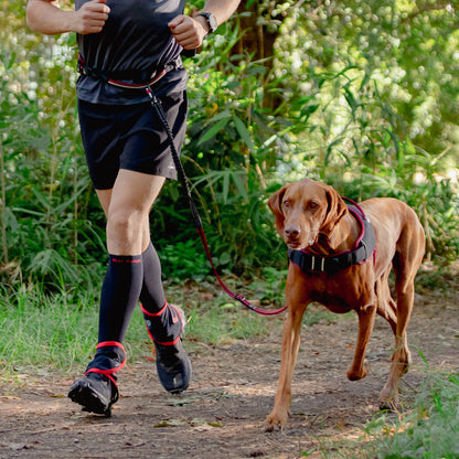 Rogz AirTech Sport Belt and Lead