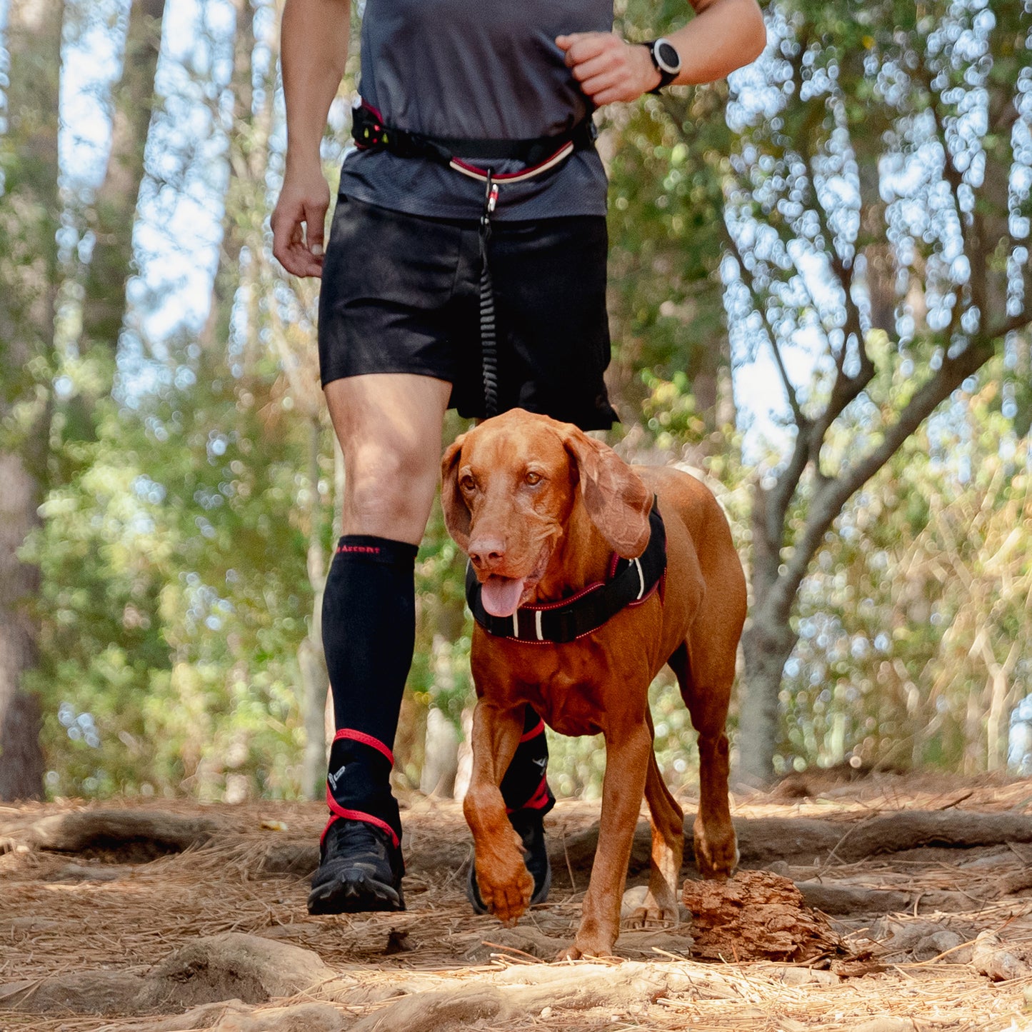 Rogz AirTech Sport Belt and Lead