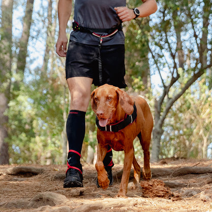 Rogz AirTech Sport Belt and Lead