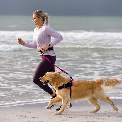 Rogz AirTech Sport Belt and Lead