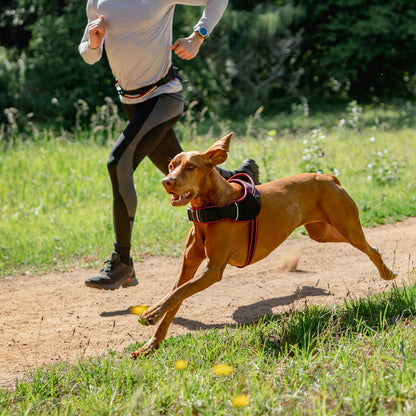 Rogz AirTech Sport Harness Platinum Grey