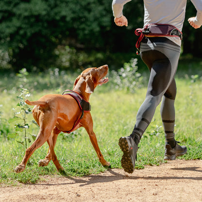 Rogz AirTech Sport Harness Platinum Grey