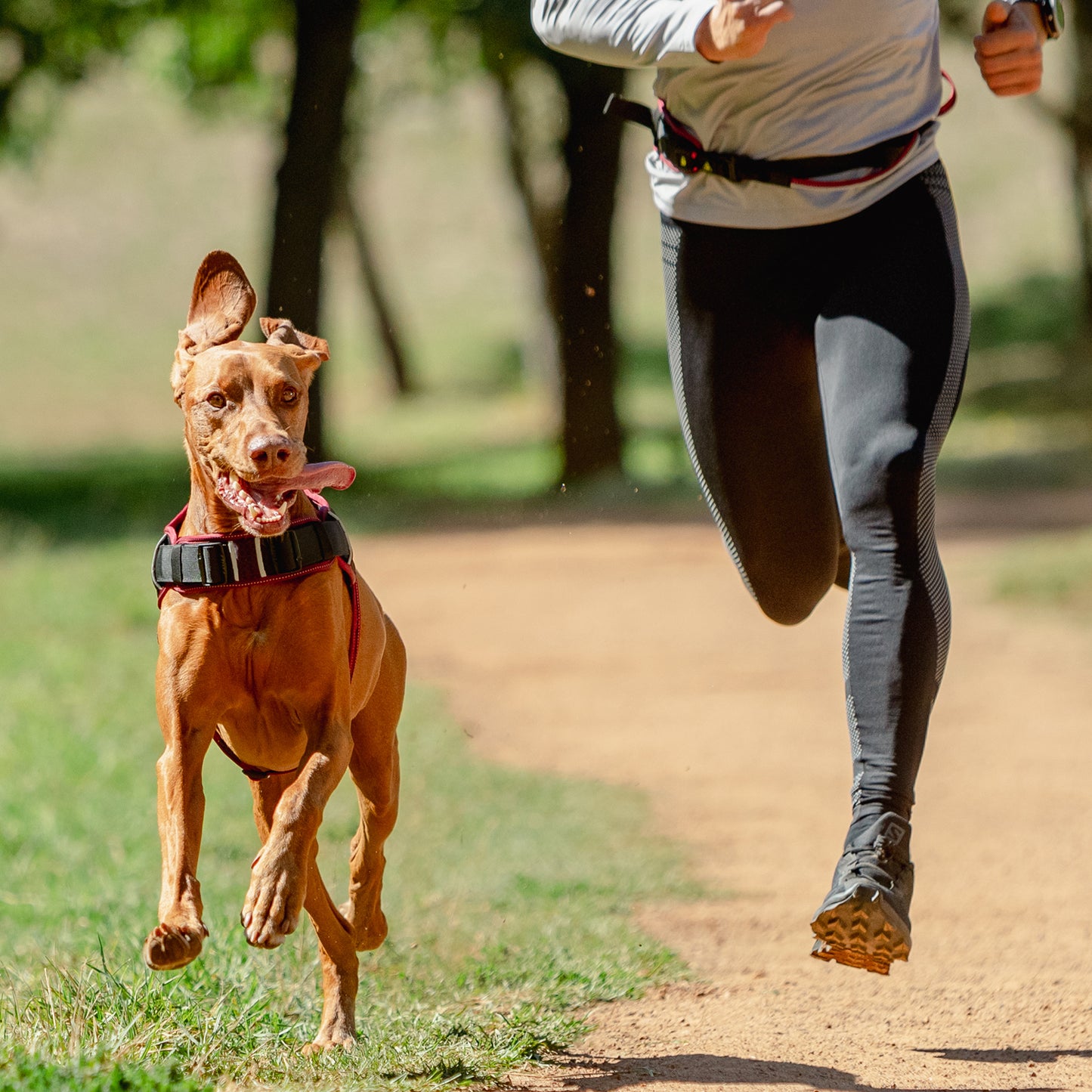 Rogz AirTech Sport Harness Platinum Grey