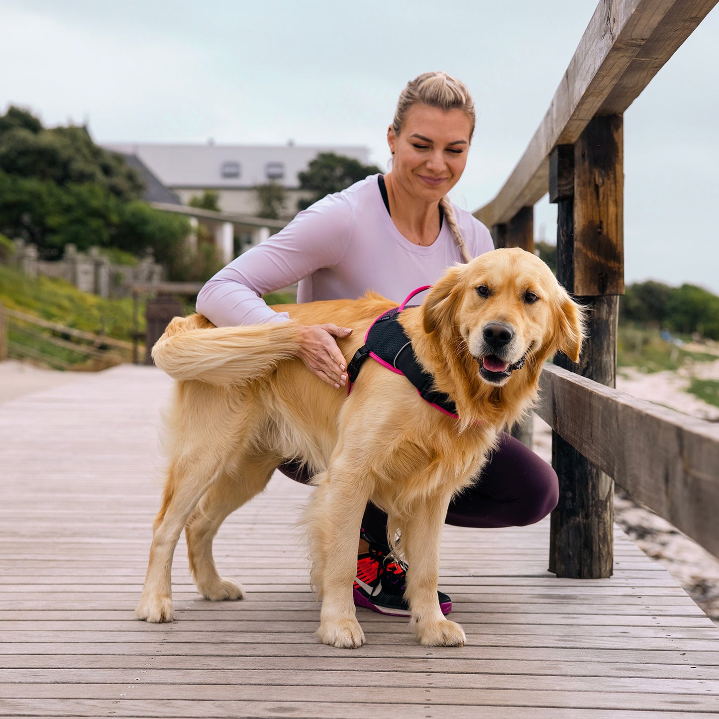 Rogz AirTech Sport Harness Platinum Grey