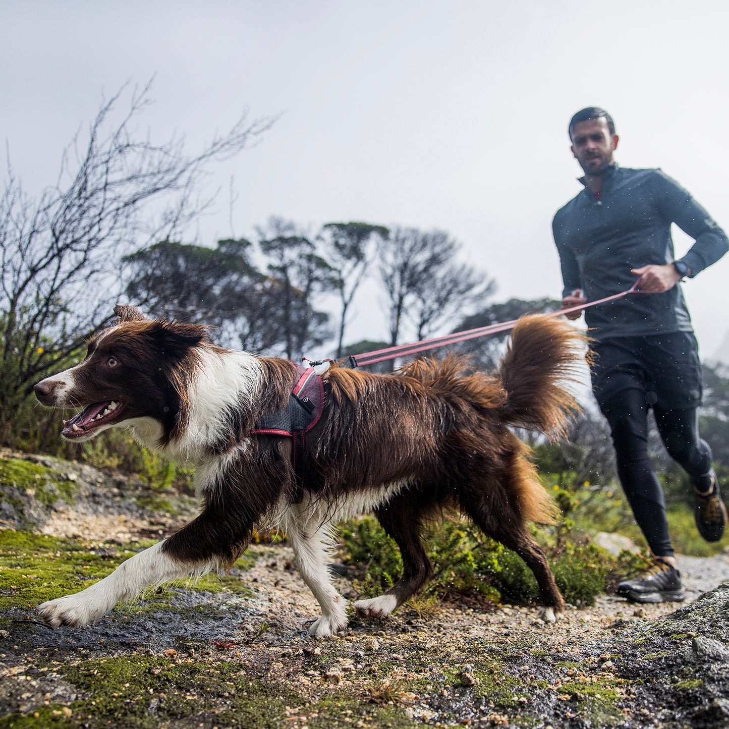 Rogz AirTech UltraLite Lead