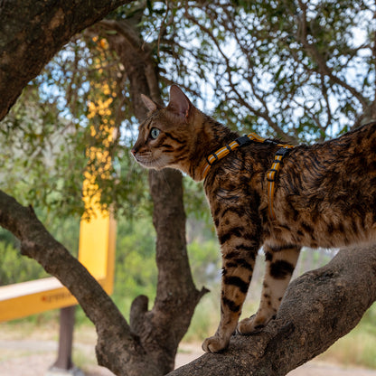 Rogz AlleyCat Control Harness and Lead