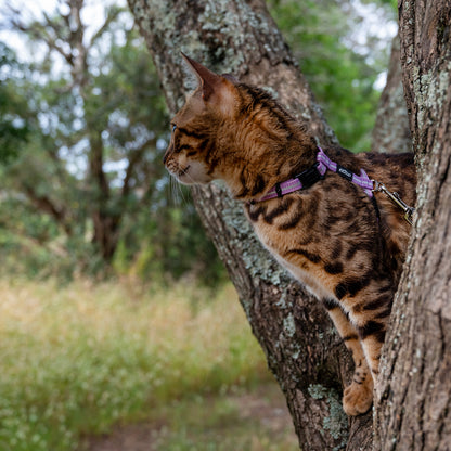 Rogz AlleyCat Control Harness and Lead