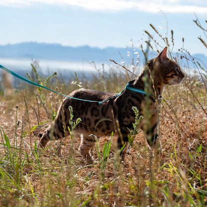 Rogz AlleyCat Control Harness and Lead