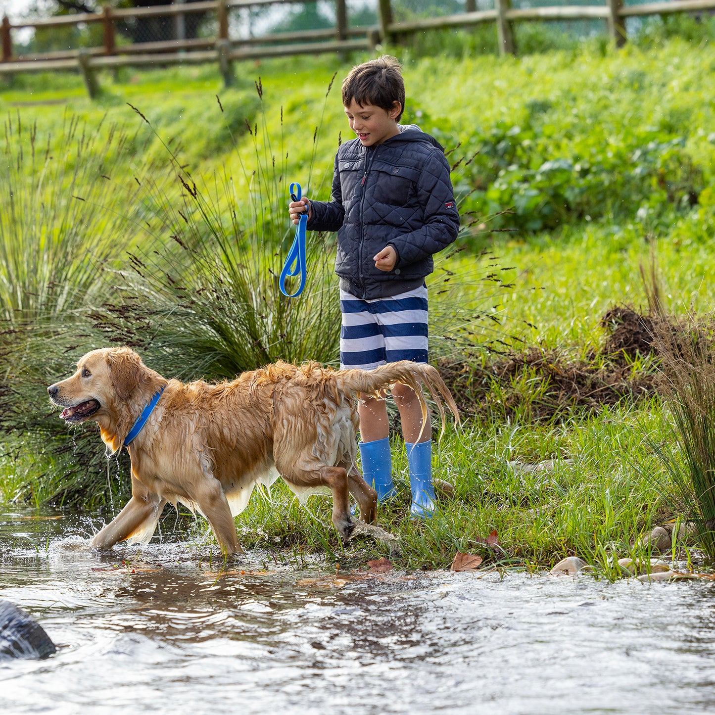 Rogz Amphibian Classic Collar