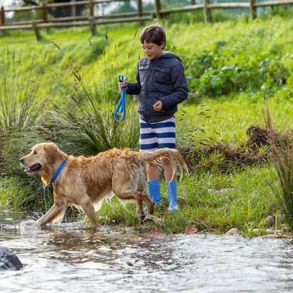 Rogz Amphibian Classic Collar