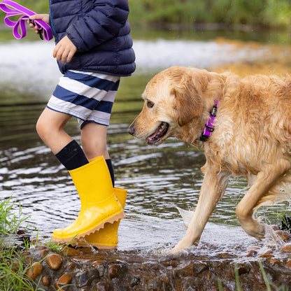 Rogz Amphibian Classic Collar