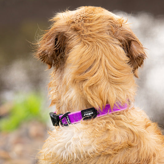 Rogz Amphibian Classic Collar