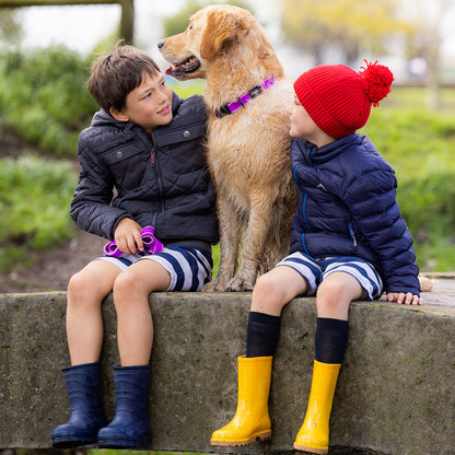 Rogz Amphibian Classic Collar