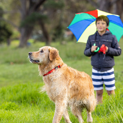 Rogz Amphibian Classic Collar