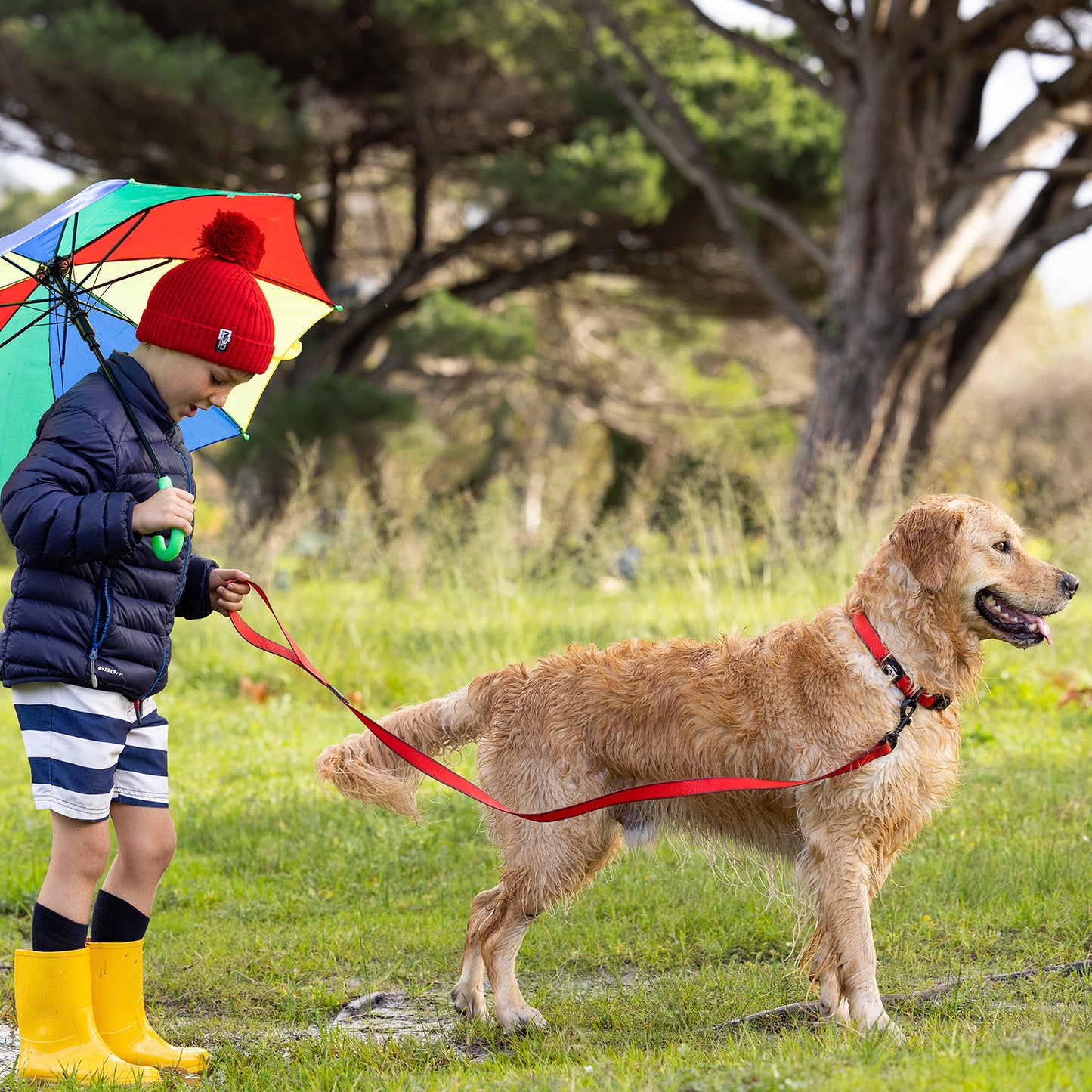 Rogz Amphibian Classic Collar