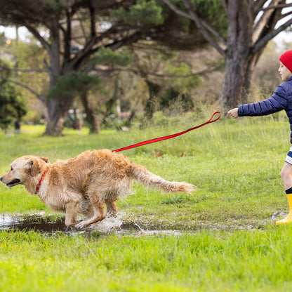 Rogz Amphibian Classic Lead