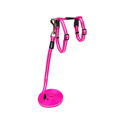 Rogz AlleyCat Control Harness and Lead