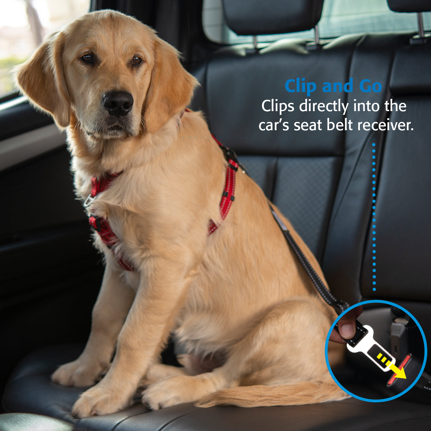 Rogz Utility Car-Safe Safety Belt Clip