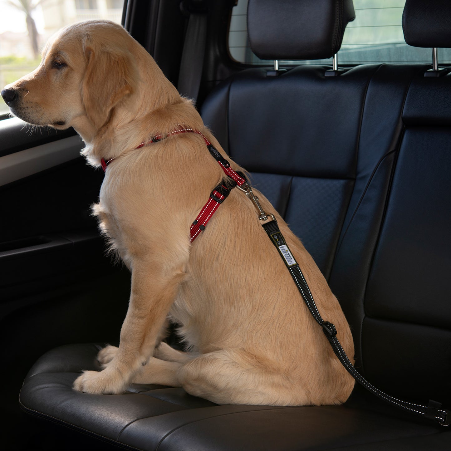 Rogz Utility Car-Safe Safety Belt Clip