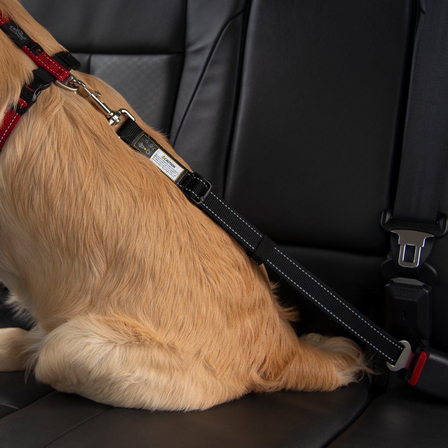 Rogz Utility Car-Safe Safety Belt Clip