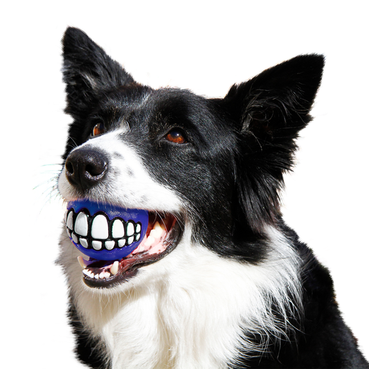 Rogz Grinz Fetch Ball for Dogs