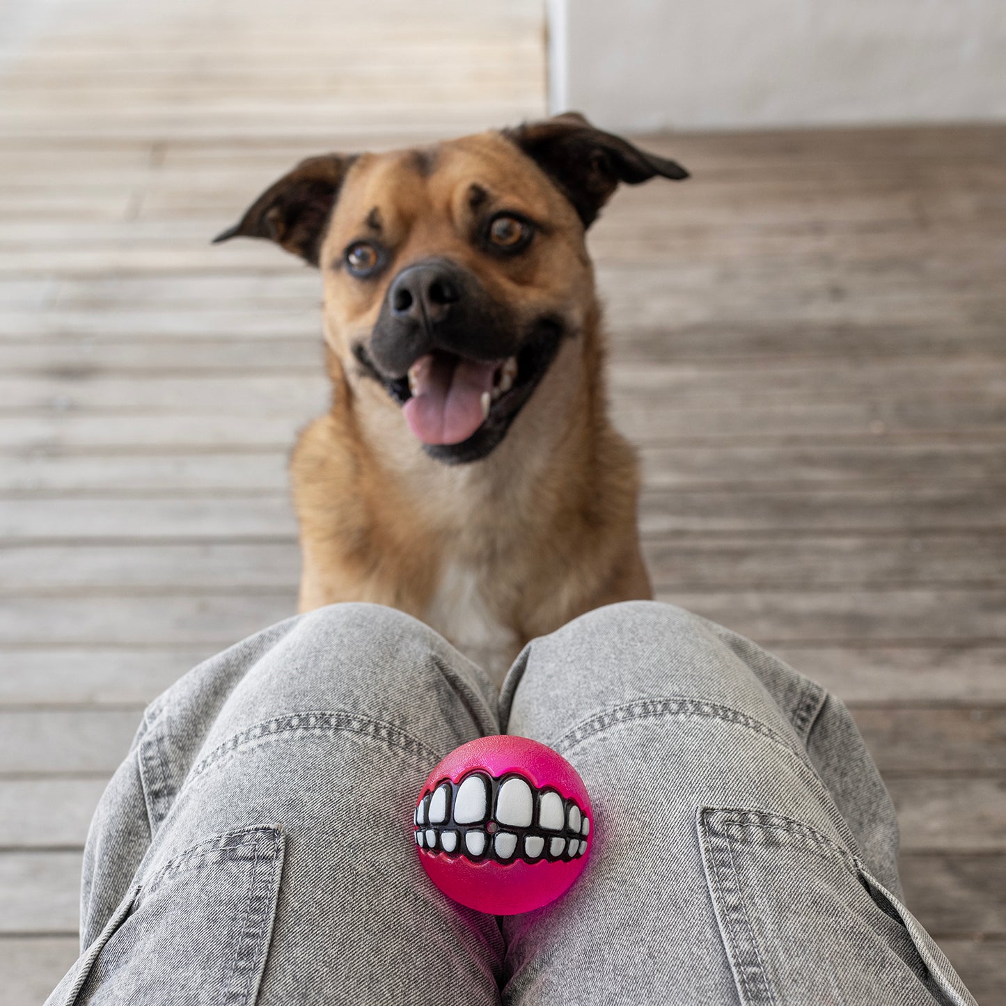 Rogz Grinz Fetch Ball