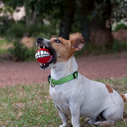 Rogz Grinz Fetch Ball