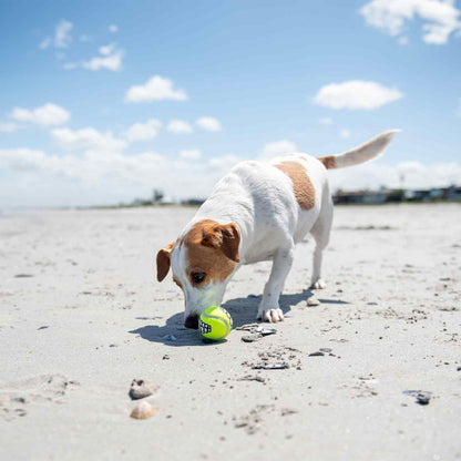 Rogz Grinz Fetch Ball