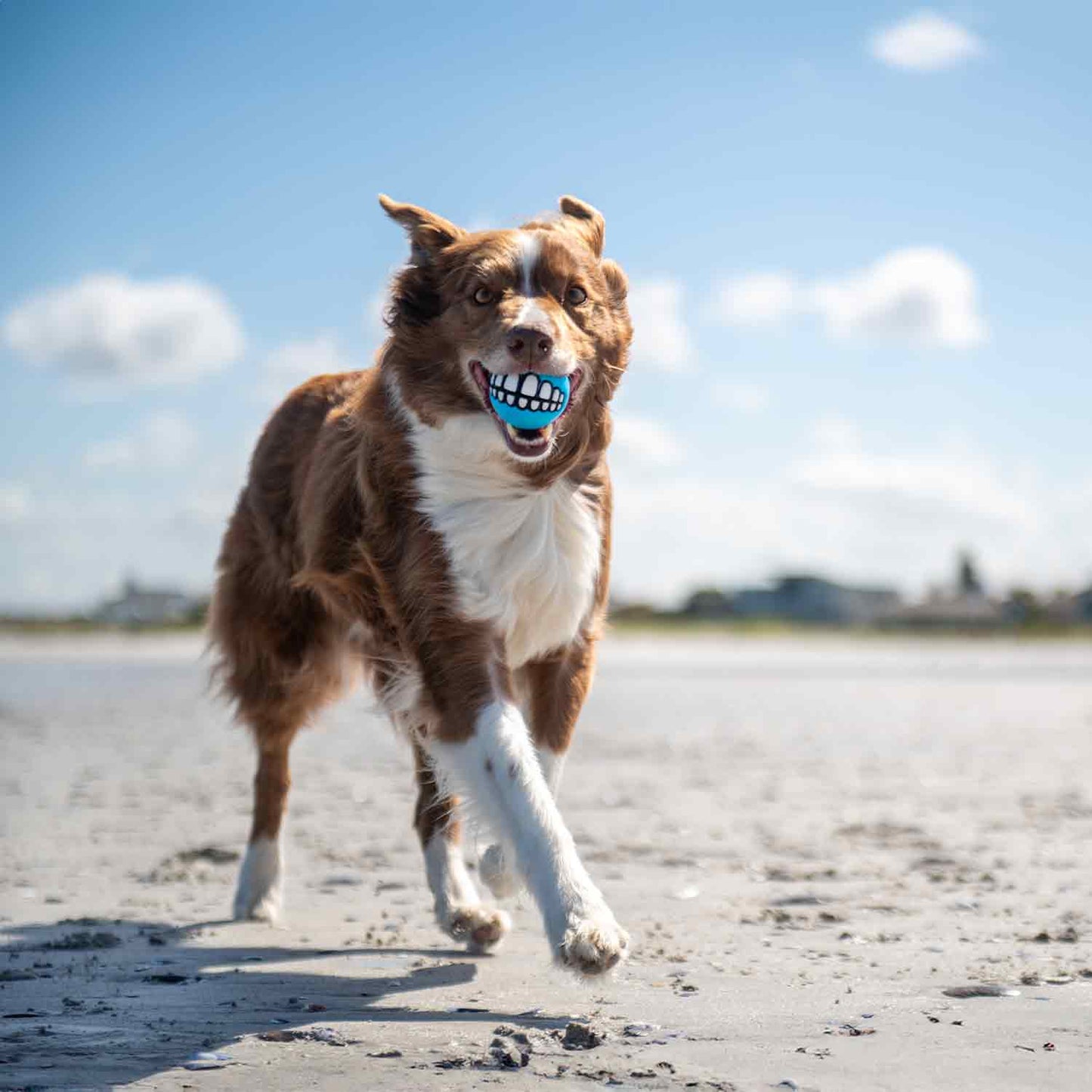 Rogz Grinz Fetch Ball