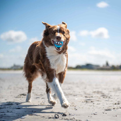 Rogz Grinz Fetch Ball