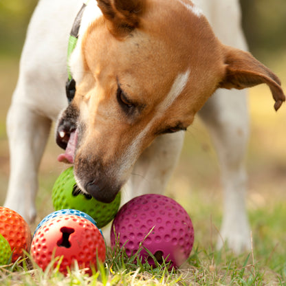 Rogz Gumz Chew Ball