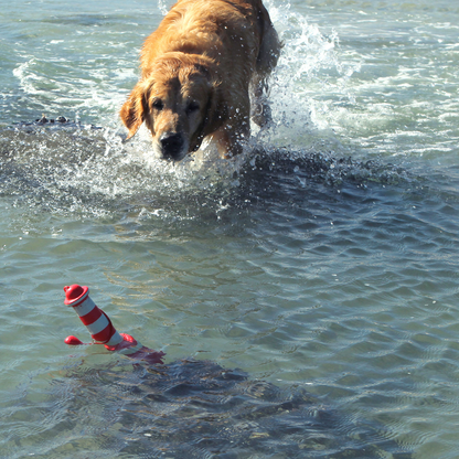Rogz LightHouse Fetch Water Toy
